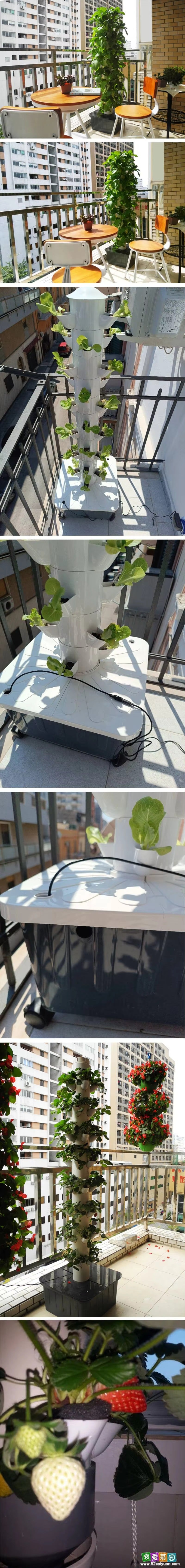 Hydroponic Vertical Tower, Veggie/Herb Planter